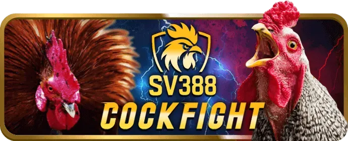 Video slot hiện đại với đồ họa động và tính năng thưởng