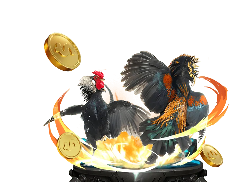 Hoàn Trả Hấp Dẫn Caxeng